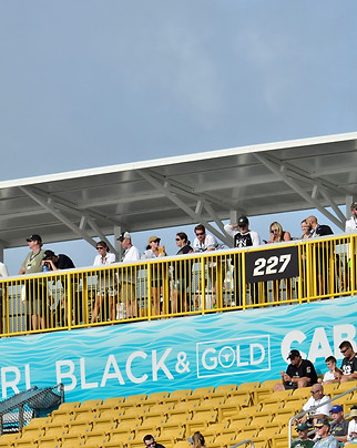 Spectrum-Stadium-Black-and-Gold-Cabana.j