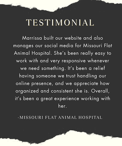 MFAH testimonial (6).png