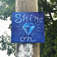 Power Pole Signs: Shine On