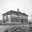 Harewood School 1953