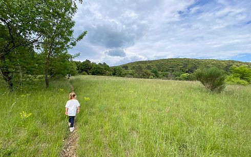 terrain-privé-evenement-nature.jpg