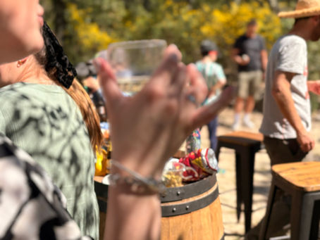 Apéro convivial près de Montpellier avec pétanque pour un anniversaire entre amis en pleine nature