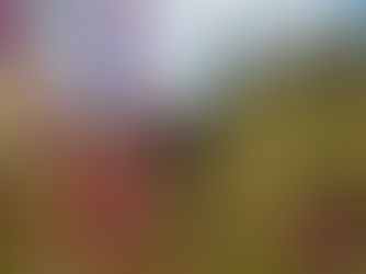 Rotational Farming : ไร่หมุนเวียน