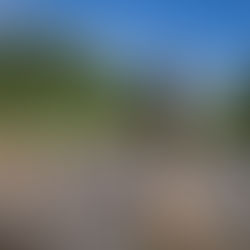 ความฝันของชุมชนในเขตต้นน้ำ