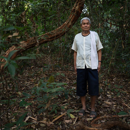 "ป่าดงหอ" พื้นที่จิตวิญญาณชาวบ้านด่านซ้าย