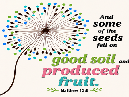 What Kind of Soil is Your Heart Cultivating?