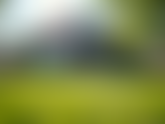 Why Canadian Mortgage Services Are Key to Your Home Ownership