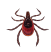 REG_edited.png