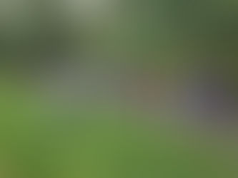 Всероссийский день физкультурника 2021