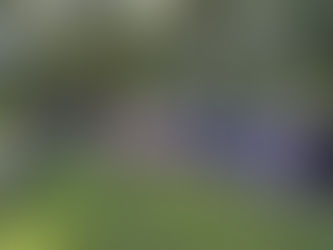 Всероссийский день физкультурника 2019