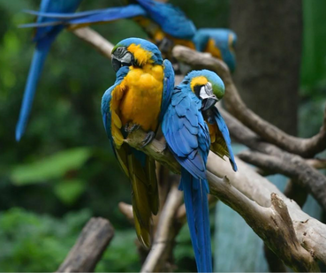 9838d909aea581286adf20f304d49a4 (1) 1.png