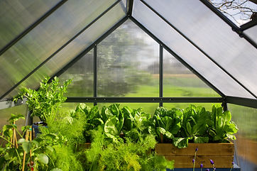 Palram-Canopia_Greenhouses_Mythos_6x8_Grey_Main--small.jpg