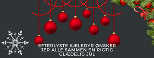 rigtig god jul 