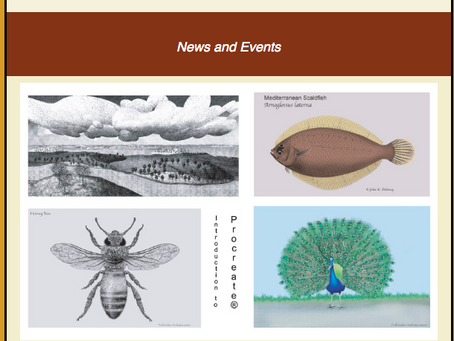 Procreate Presentation, classes, news