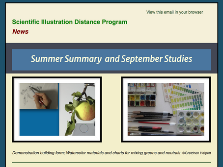 Summer Summary and September Studies