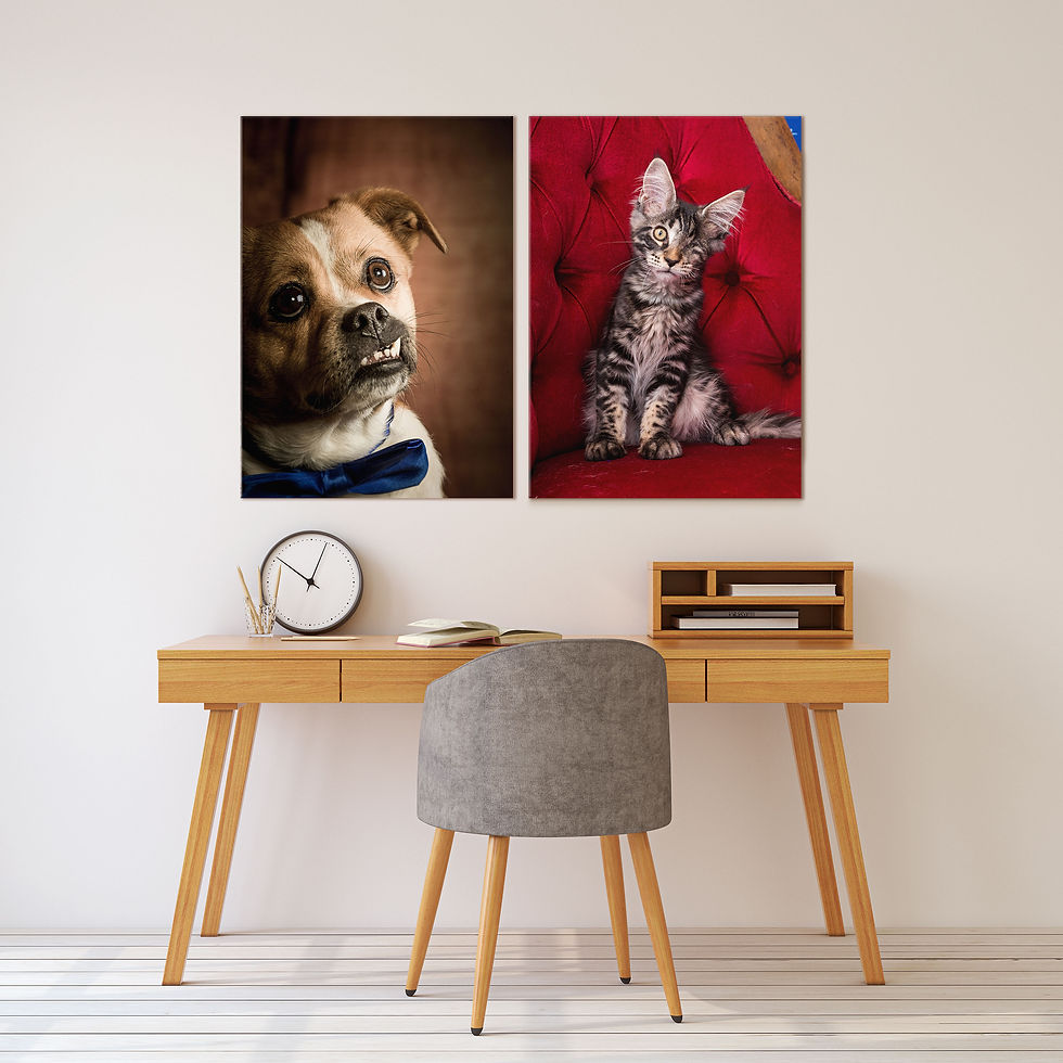 Home Study Photo Prints