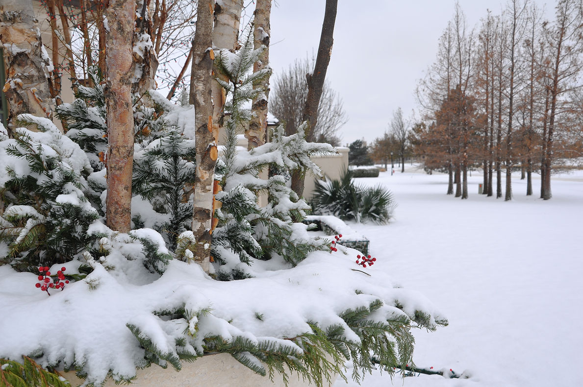 DSC_0062.JPG
