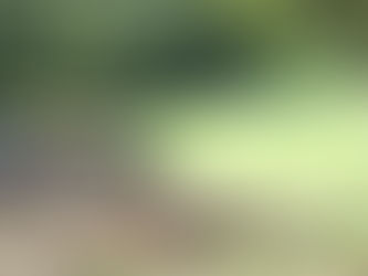 改修工事進捗情報