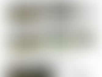 グリーン更新作業(エアレーション)お知らせ