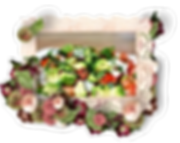 oie_transparent (2).png