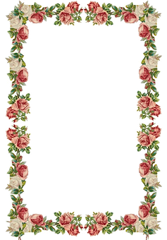 oie_transparent (4).png
