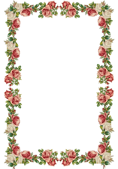 oie_transparent (4).png