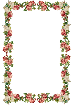 oie_transparent (4).png