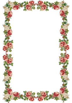 oie_transparent (4).png