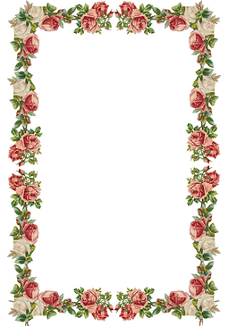 oie_transparent (4).png