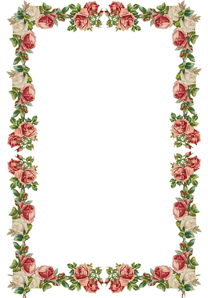 oie_transparent (4).png
