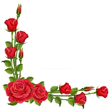oie_transparent (2).png