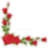 oie_transparent (2).png