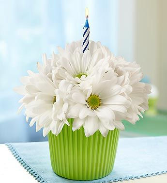 BIRTHDAY DAISY CUPCAKE