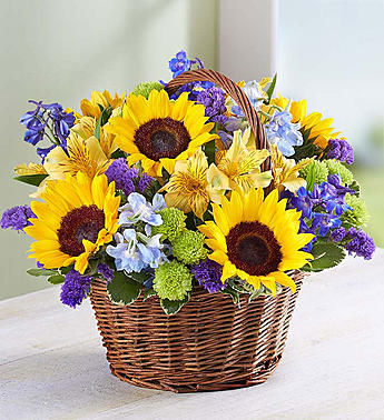 Thumbnail: FIELDS OF EUROPE SUMMER BASKET