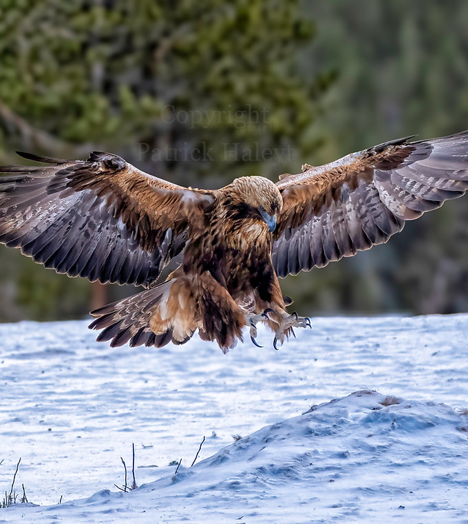 Selectie 3_edited_edited.jpg