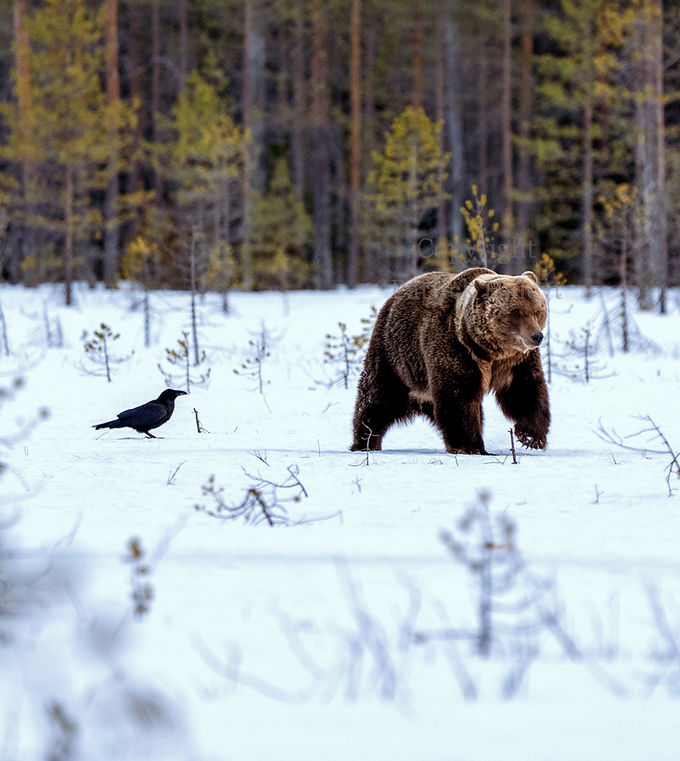 Selectie 41_edited.jpg