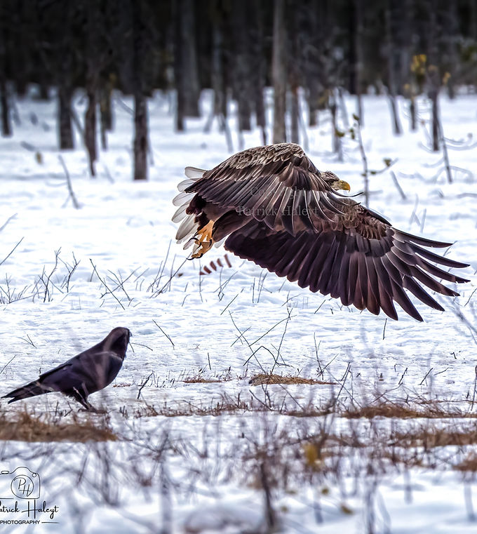 Selectie 18_edited.jpg