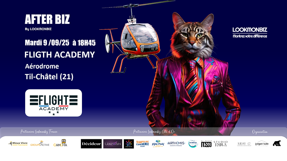 AFTER BIZ - Flight Academy