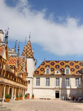 Hospices de Beaune ( 21 )