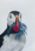 puffin drawing_edited.png