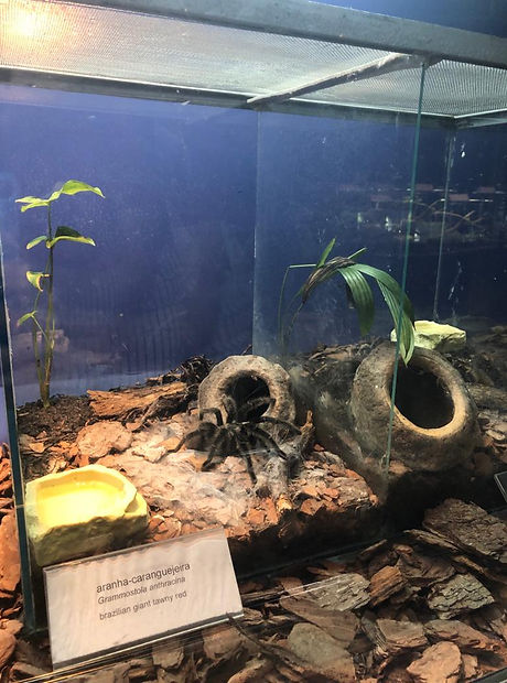 WhatsApp Image 2020-04-26 at 4.01.18 PM 