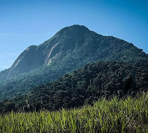 Pico_do_Baepi_Wikimedia-Commons_Igorh84.