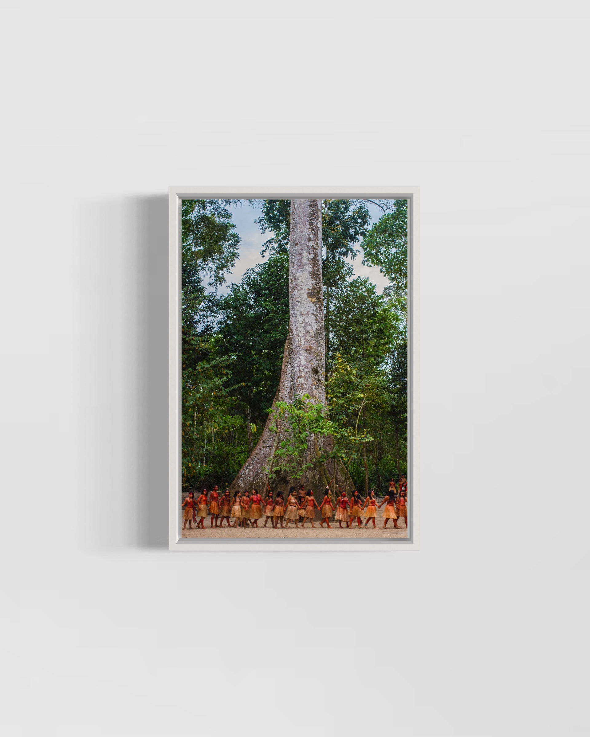 Samaúma Sagrada (com moldura)