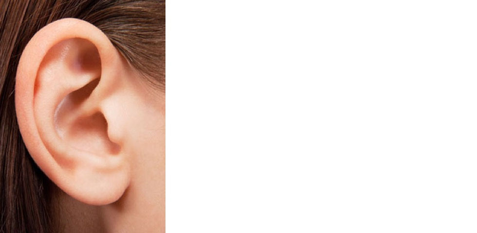 FOND HYGIENE OREILLES.jpg