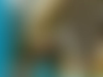 Red PON: La nueva ERA de conectividad llega a los hoteles