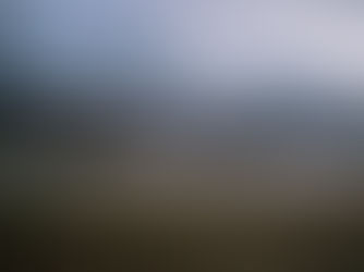 The Mist at Greystone Hall