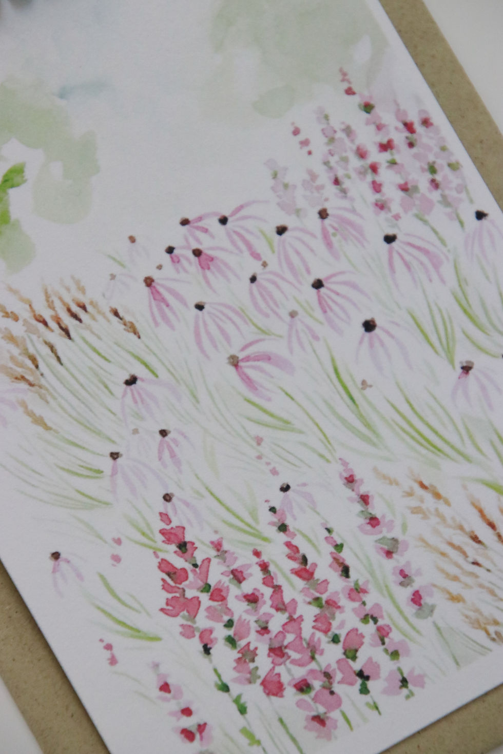 Miniaturbild: pallida summer study