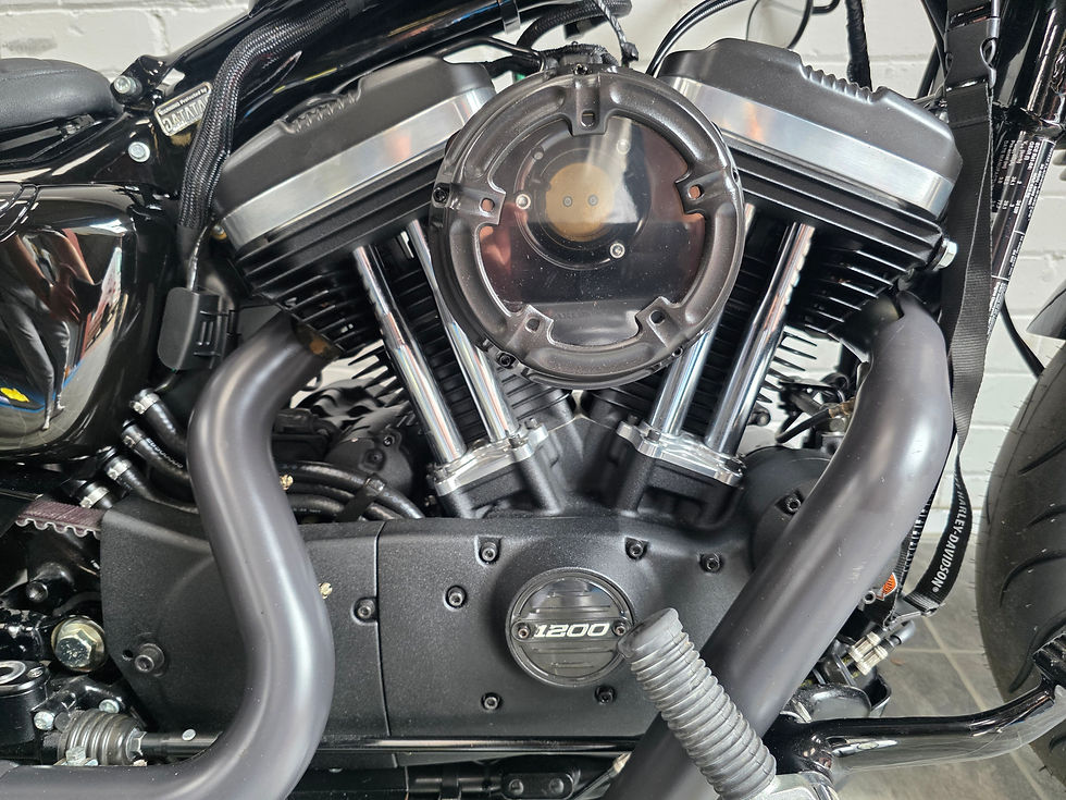 Thumbnail: Harley Davidson XL1200 48 Sportster Custom