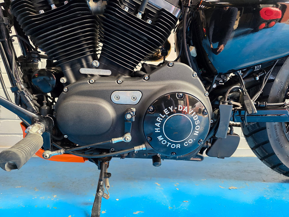 Thumbnail: Harley Davidson XL1200 48 Sportster Custom