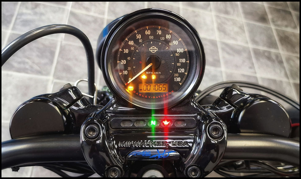 Thumbnail: Harley Davidson XL1200 48 Sportster Custom